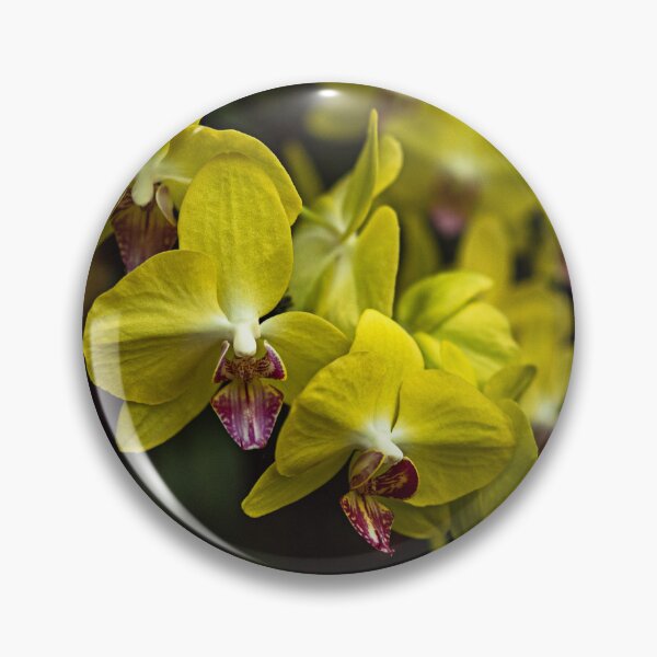 Item preview, Orquídea designed and sold by MarkFoleyPhoto.