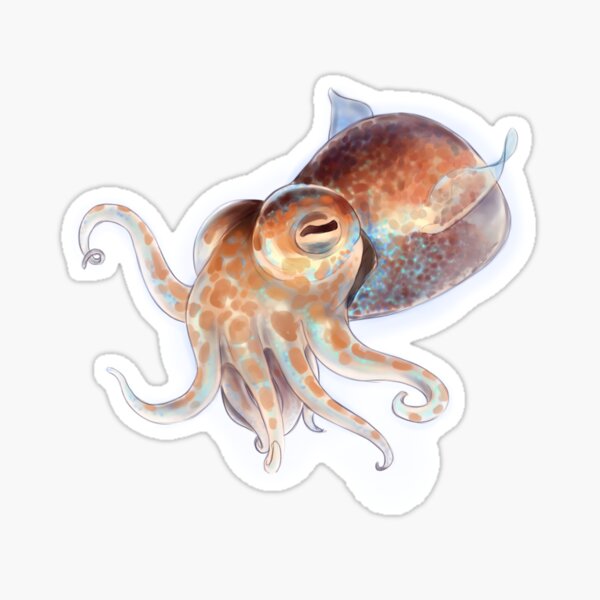 Item preview, Cuddlefish designed and sold by KO-Art.