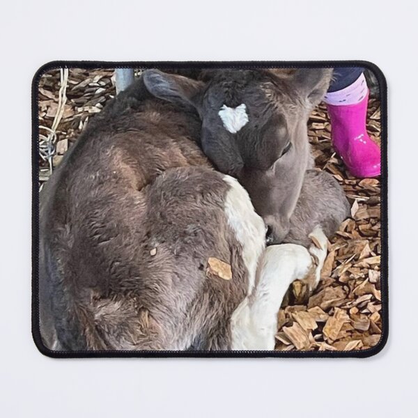 Item preview, Calf designed and sold by Beautyqueens Beautys.