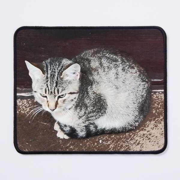 Item preview, The cat is sitting in front of the door. designed and sold by slikar.