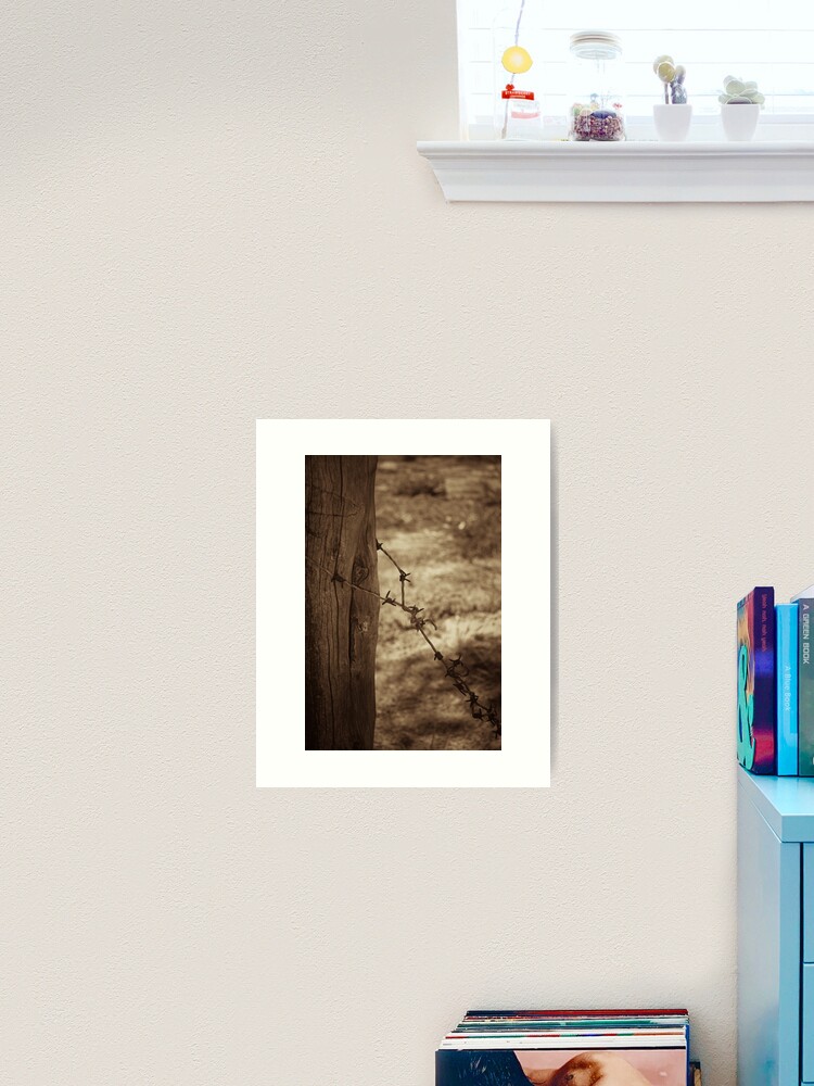 Thumbnail 1 of 3, Art Print, Old barbed wire - sepia designed and sold by Andreas Koepke.