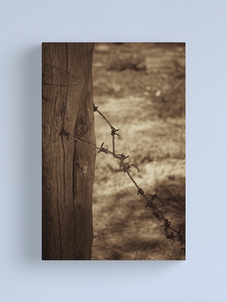 Alternate view of Old barbed wire - sepia Canvas Print
