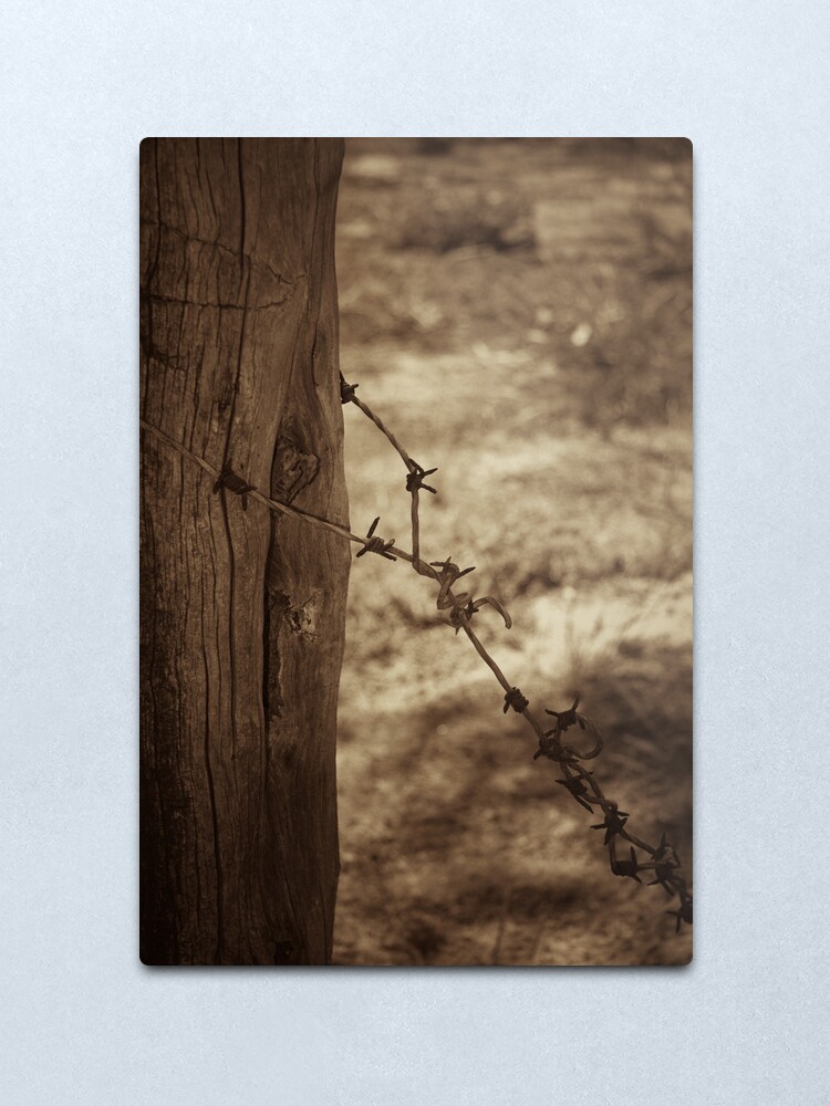 Alternate view of Old barbed wire - sepia Metal Print
