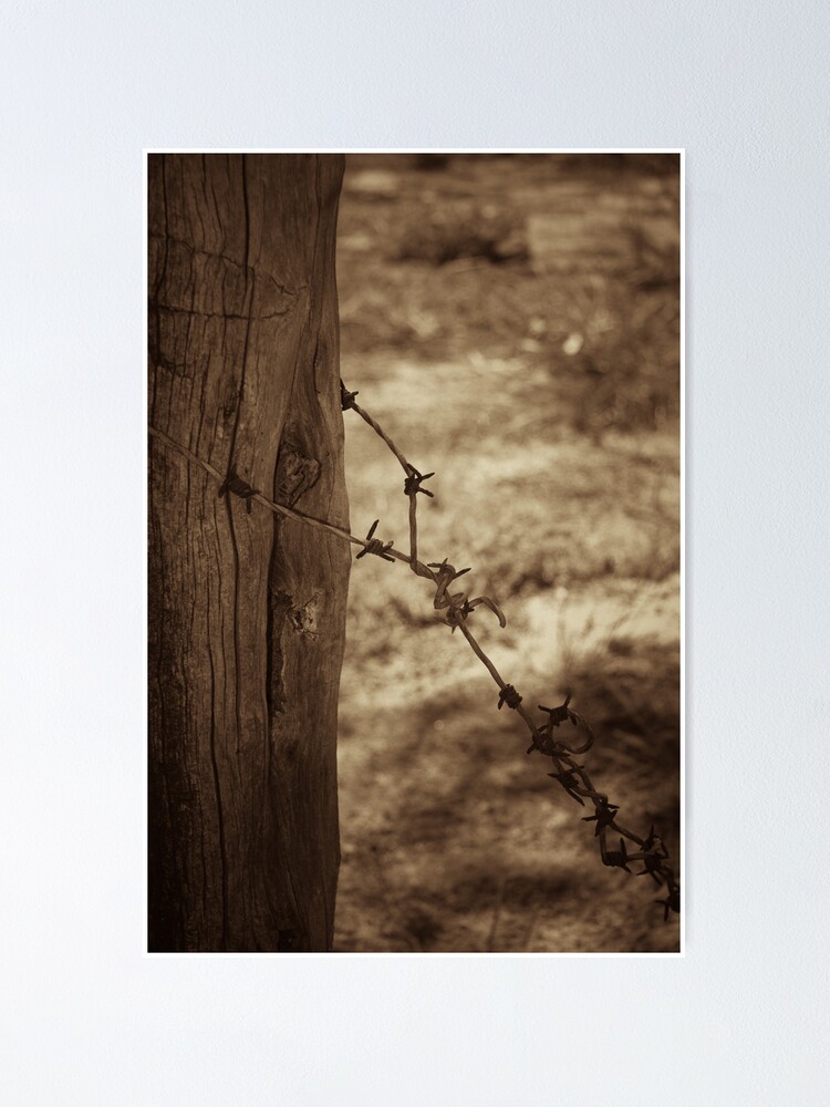 Alternate view of Old barbed wire - sepia Poster