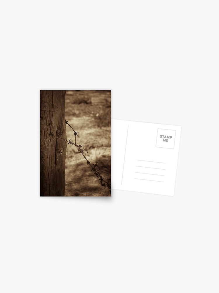 Thumbnail 1 of 2, Postcard, Old barbed wire - sepia designed and sold by mistered.