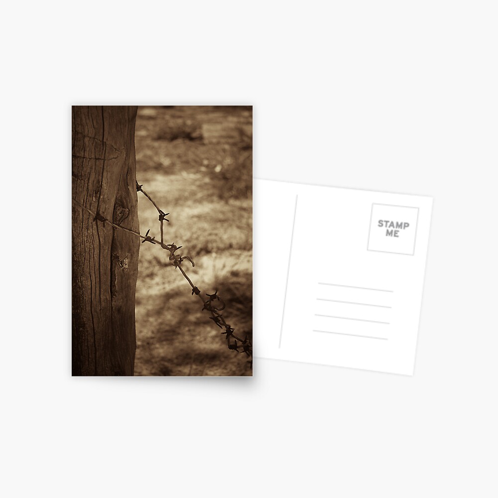 Item preview, Postcard designed and sold by mistered.