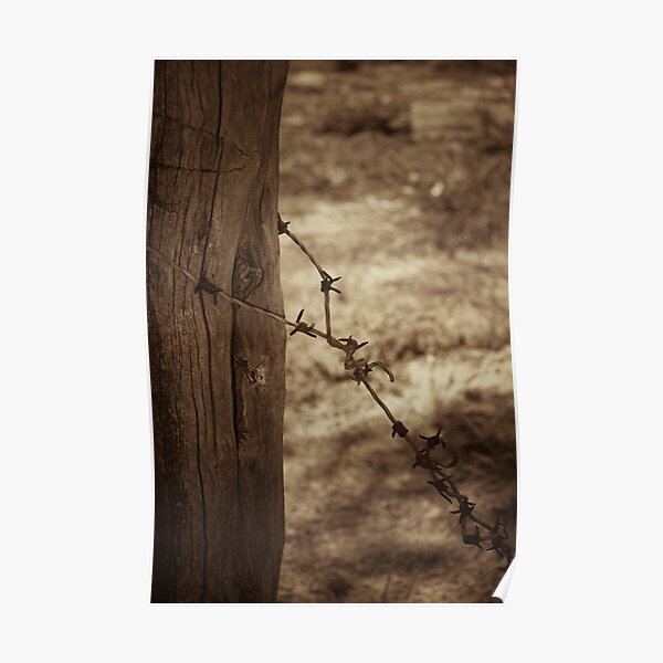 Old barbed wire - sepia Poster