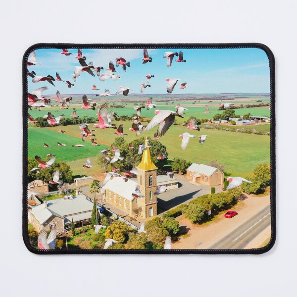 Item preview, Galahs on their way to Church!! designed and sold by littleeye-sa.