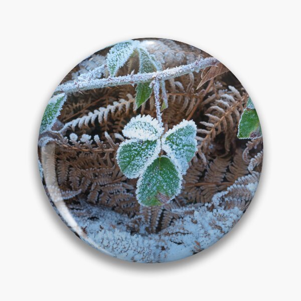 Artikelvorschau, Frostbedeckte Vegetation entworfen und verkauft von Leighton Collins.