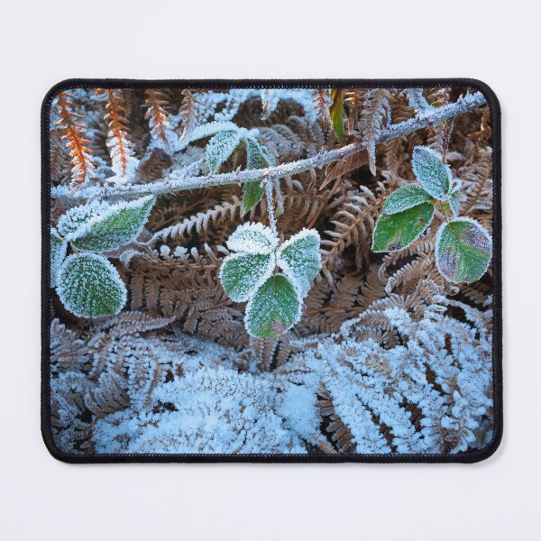 Artikelvorschau, Frostbedeckte Vegetation entworfen und verkauft von Leighton Collins.