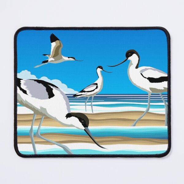 Item preview, Pied Avocets designed and sold by Graham Colton.
