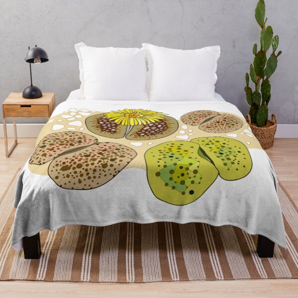 Item preview, Lithops or living stones composition. designed and sold by Bokasana.