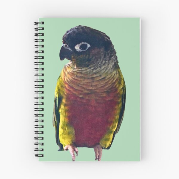 Item preview, Green Cheek Conure design | Conure | Small Parrot | Parakeet | Parrot lover designed and sold by TatianaLG.
