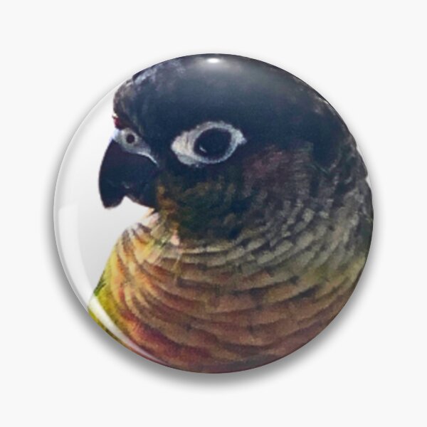 Item preview, Green Cheek Conure design | Conure | Small Parrot | Parakeet | Parrot lover designed and sold by TatianaLG.