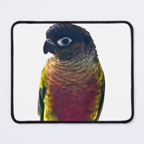Item preview, Green Cheek Conure design | Conure | Small Parrot | Parakeet | Parrot lover designed and sold by TatianaLG.