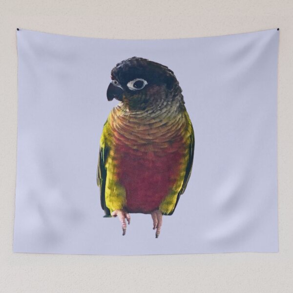 Item preview, Green Cheek Conure design | Conure | Small Parrot | Parakeet | Parrot lover designed and sold by TatianaLG.