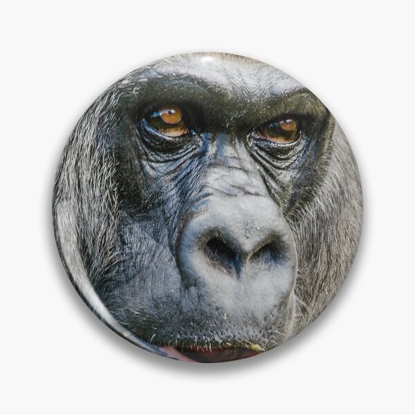 Item preview, western lowland Gorilla Portrait designed and sold by Darren Wilkes.