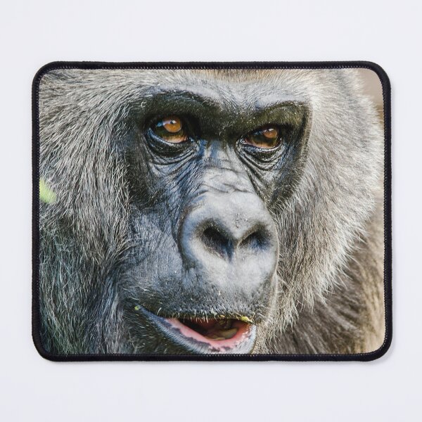 Item preview, western lowland Gorilla Portrait designed and sold by Darren Wilkes.