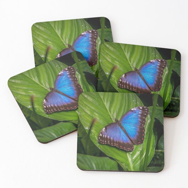 Item preview, Blue Morpho designed and sold by Darren Wilkes.