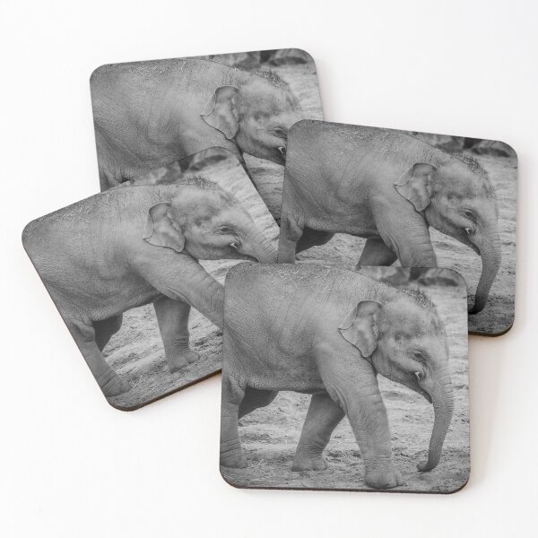 Item preview, Elephas maximus designed and sold by Darren Wilkes.