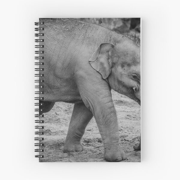 Item preview, Elephas maximus designed and sold by Darren Wilkes.