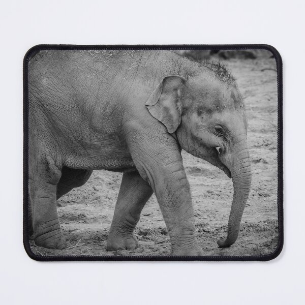 Item preview, Elephas maximus designed and sold by Darren Wilkes.