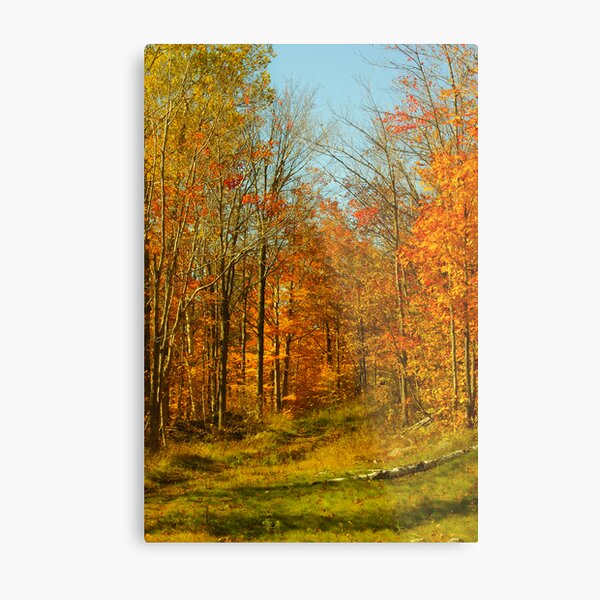 Mont-Tremblant 02 Metal Print