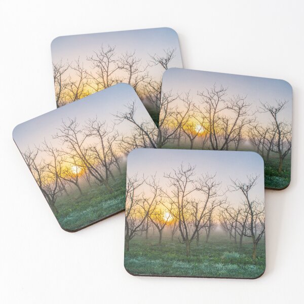 Item preview, Fog rising through orchard  designed and sold by emmacturner.