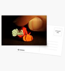A Little Thanksgiving Postcards