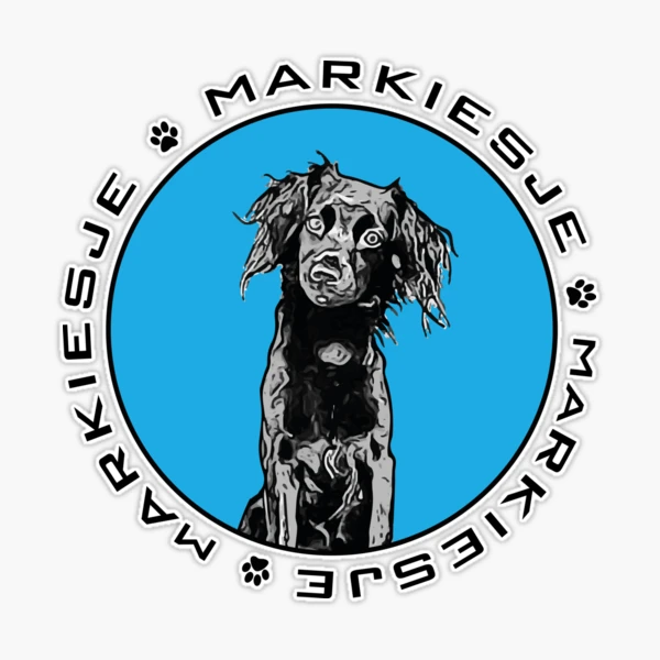 markiesje dutch dogbreed