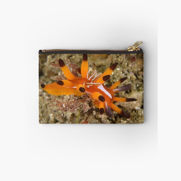 Item preview, Nudibranch - Okenia mellita designed and sold by Andrew Trevor-Jones.
