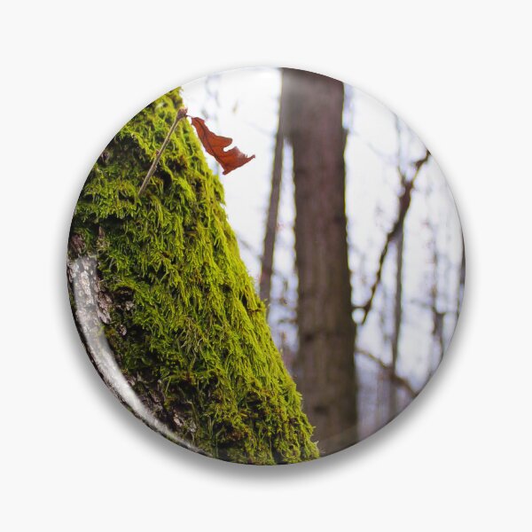 Artikelvorschau, Moos am Baum entworfen und verkauft von DjedMilosHC.