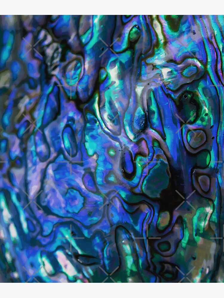 "Polished Paua Abalone Shell, Abstract Paua Abalone Shell Texture ...