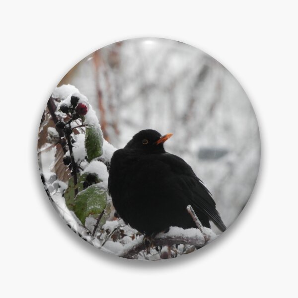 Item preview, Common blackbird in the snow designed and sold by Chiara Brugnoli.