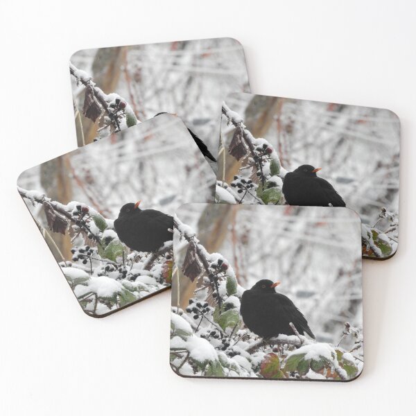 Item preview, Common blackbird in the snow designed and sold by Chiara Brugnoli.