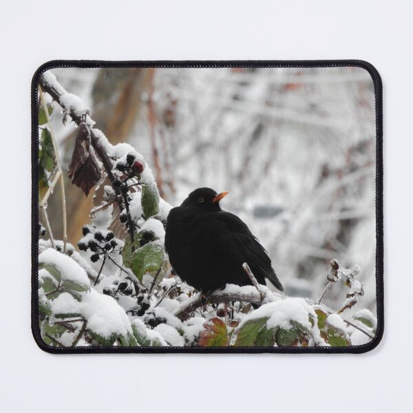 Item preview, Common blackbird in the snow designed and sold by Chiara Brugnoli.