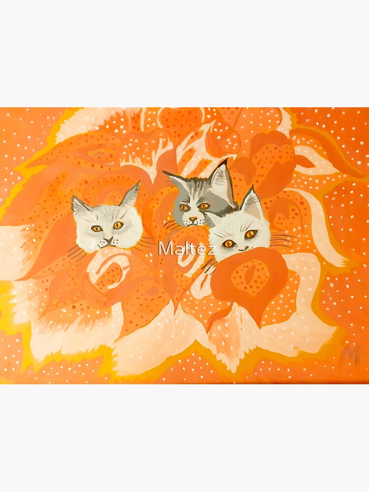 Illustration Three Angry Cats