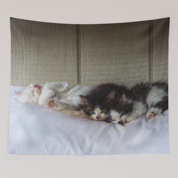 Item preview, Sleeping Beauties designed and sold by Frankie Cat Photography.