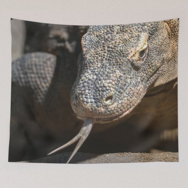 Item preview, Komodo Dragon Sticking Out His Tongue designed and sold by rawshutterbug.