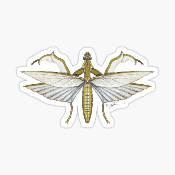 Mantis Monster Sticker
