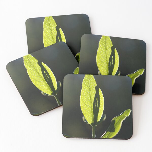 Item preview, Green leaf designed and sold by Milan Latta.