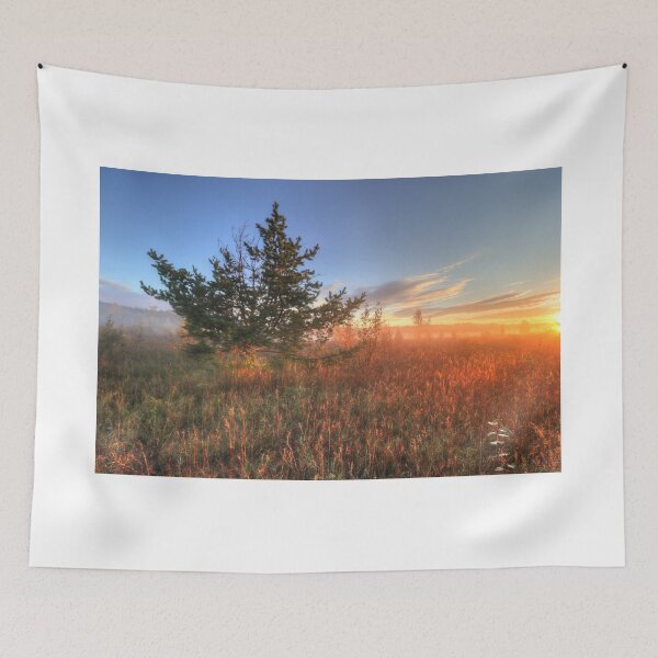Item preview, Conifer at Sunrise in Autumn designed and sold by Jim Sauchyn.
