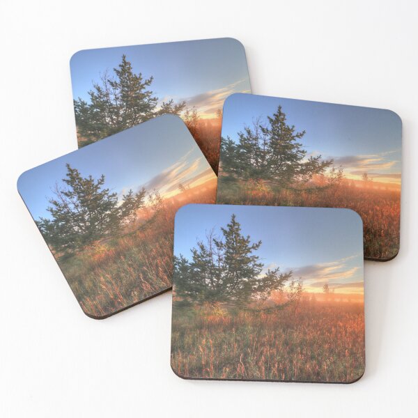 Item preview, Conifer at Sunrise in Autumn designed and sold by Jim Sauchyn.