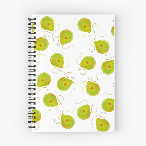 Item preview, Chlamydomonas Algae Microbiology Print designed and sold by ModelOrganism.