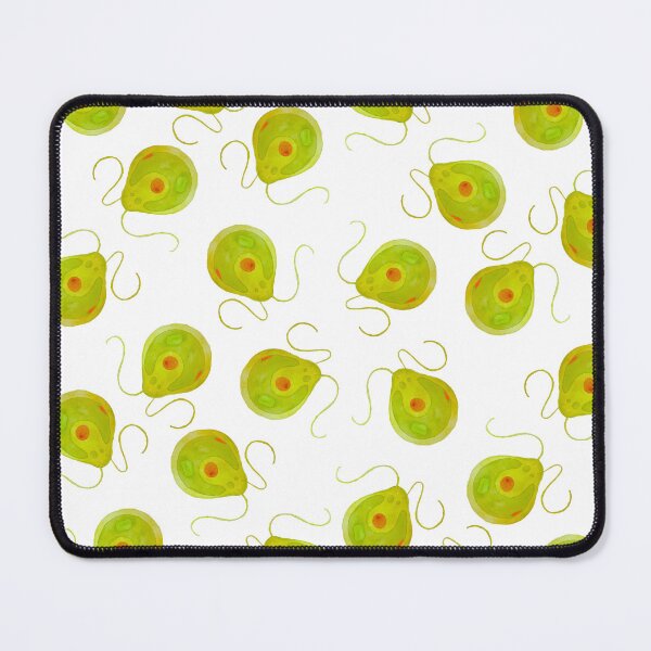 Item preview, Chlamydomonas Algae Microbiology Print designed and sold by ModelOrganism.