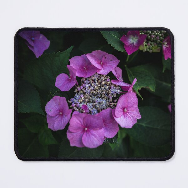 Item preview, Pink flowers in Bremen designed and sold by Lassi Rintala.