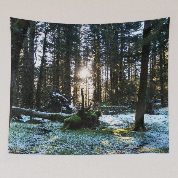 Item preview, Winter Forest Photography Print designed and sold by griffingphoto.