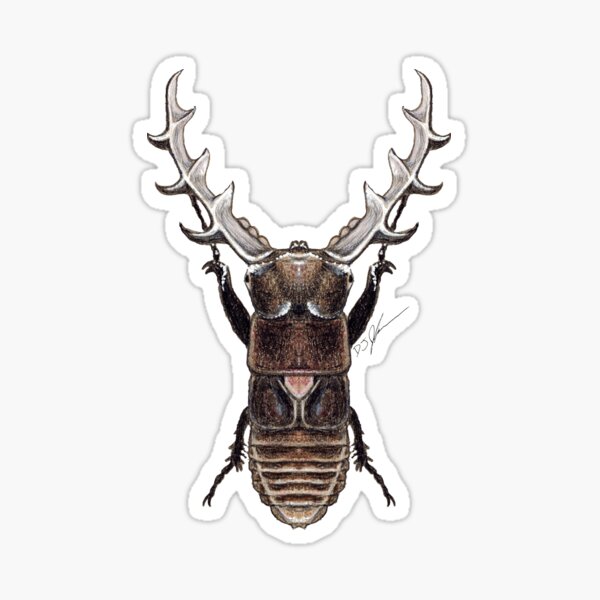 Stag Beetle Monster Sticker