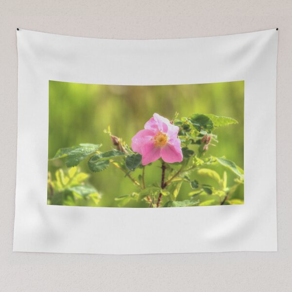 Item preview, Sunlit Wild Rose designed and sold by Jim Sauchyn.