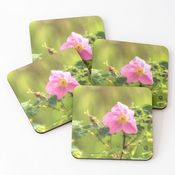 Item preview, Sunlit Wild Rose designed and sold by Jim Sauchyn.